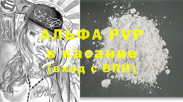 индика Братск