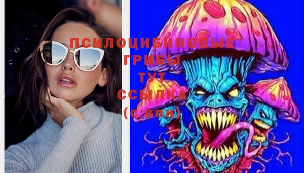 индика Братск