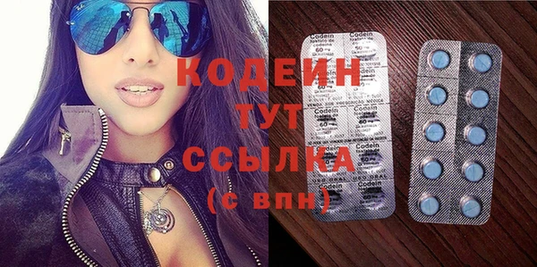 индика Братск