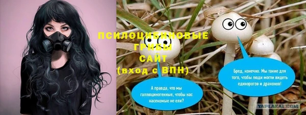 гидра Орск