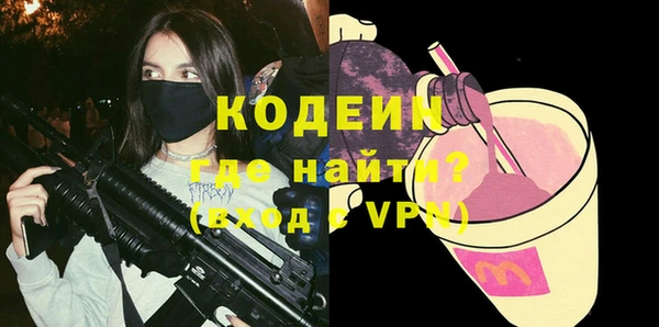 индика Братск