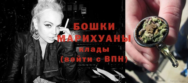 индика Усинск