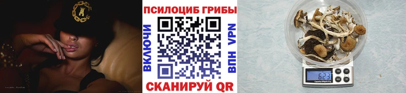 Галлюциногенные грибы Magic Shrooms  сколько стоит  Керчь 